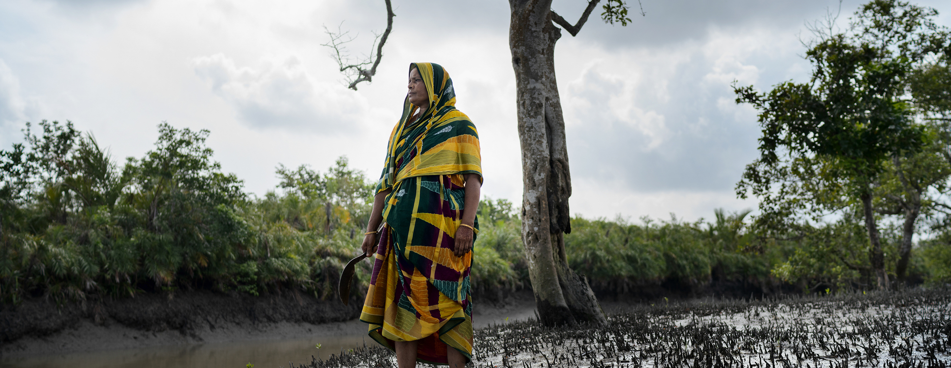 Trees & Seas Film Festival (TSFF)