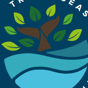 Trees & Seas Film Festival (TSFF) - logo